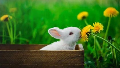 世界女足杯赛，中国代表队发挥稳定